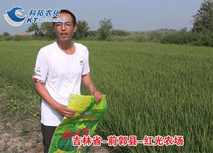 吉林松原红光农场属于哪个区 前郭县红光农场欠工人养老保险钱